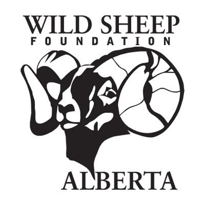 Wild Sheep Foundation Alberta logo