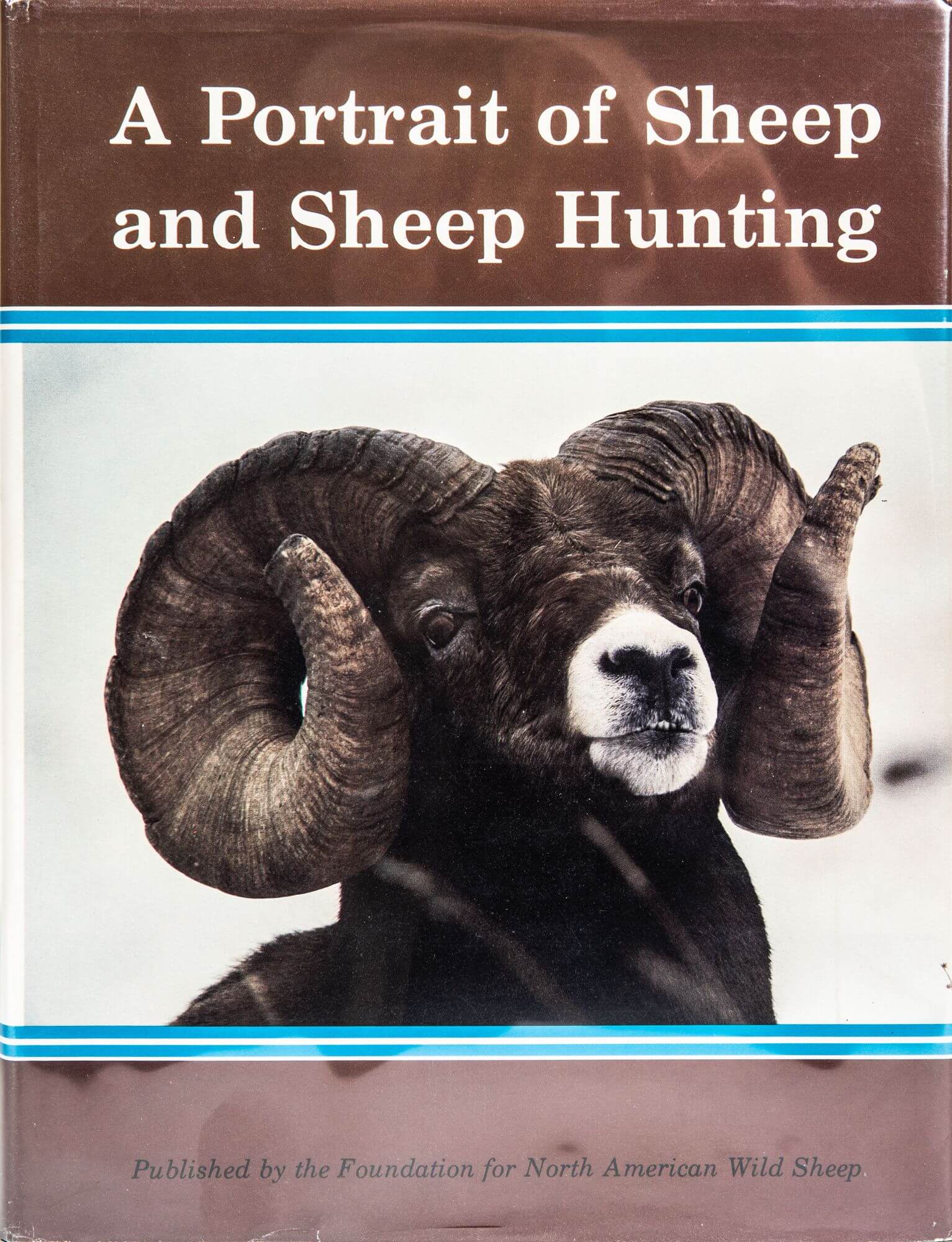Book cover for A Portrait of Sheep and Sheep Hunting by Roy Schultz