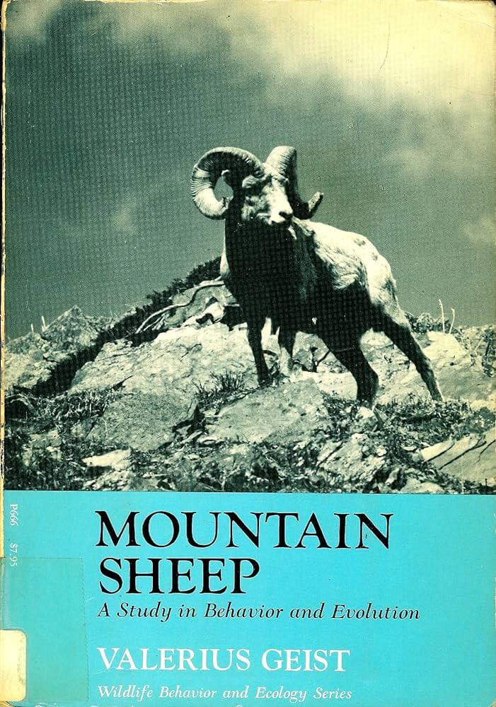 Book Cover of Mountain Sheep: A Study in Behavior and Evolution by Valerius Geist