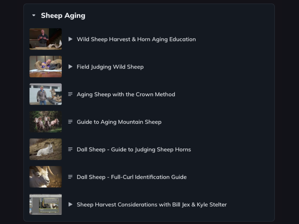 Screenshot of the Aging Sheep resources section on the Spike Camp community.
