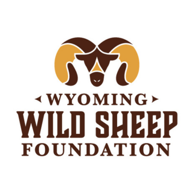 WyomingWildSheepFoundation